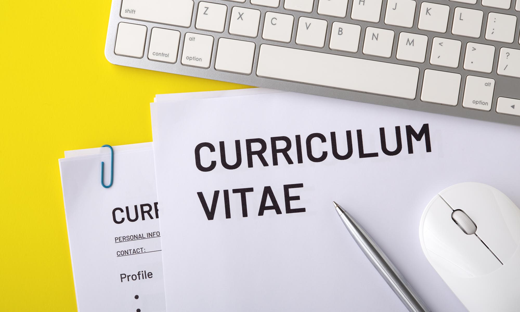 Ejemplo de curriculum vitae 2021