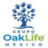 Bolsa de trabajo GRUPO OAKLIFE MEXICO, AGENTE DE SEGUROS Y DE FIANZAS