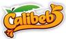 Bolsa de trabajo GRUPO CALIBEB