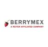 Bolsa de trabajo BerryMex