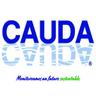 Bolsa de trabajo GRUPO CAUDA