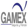 Bolsa de trabajo GAMEX Agente de Seguros