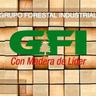 Bolsa de trabajo Grupo Forestal Ind Mexicano, S.A. de C.V.