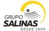 Bolsa de trabajo Grupo Salinas