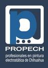 Bolsa de trabajo PROFESIONALES EN PINTURA ELECTROSTATICA DE CHIHUAHUA SA DE CV