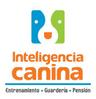 Bolsa de trabajo INTELIGENCIA CANINA