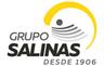 Bolsa de trabajo Grupo Salinas