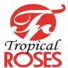 Bolsa de trabajo Tropical Roses