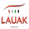 Bolsa de trabajo LAUAK AEROSPACE MEXICO